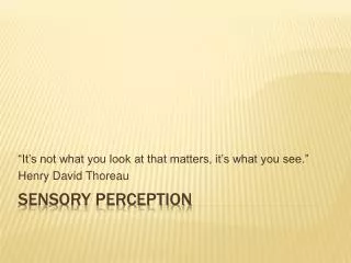 Sensory Perception