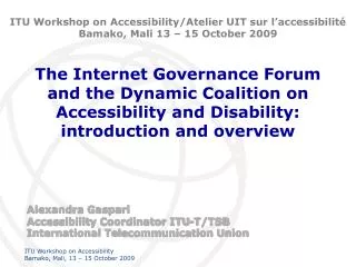 The Internet Governance Forum and the Dynamic Coalition on Accessibility and Disability: introduction and overview