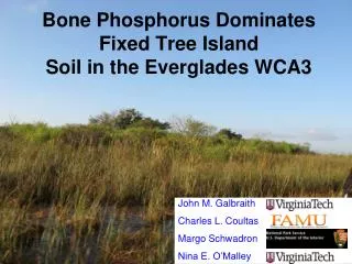 Bone Phosphorus Dominates Fixed Tree Island Soil in the Everglades WCA3