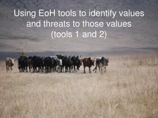 Using EoH tools to identify values and threats to those values (tools 1 and 2)