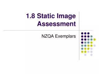 1.8 Static Image Assessment