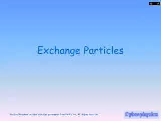 Exchange Particles