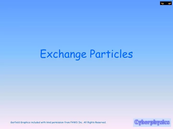 exchange particles