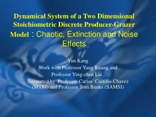 Dynamical System of a Two Dimensional Stoichiometric Discrete Producer-Grazer Model : Chaotic, Extinction and Noise Ef