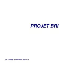 projet bri