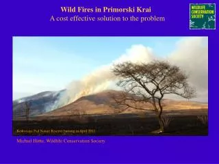 Wild Fires in Primorski Krai A cost effective solution to the problem