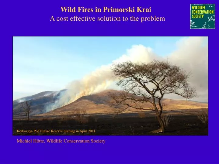 wild fires in primorski krai a cost effective solution to the problem