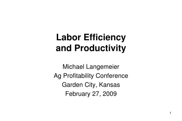 labor efficiency and productivity