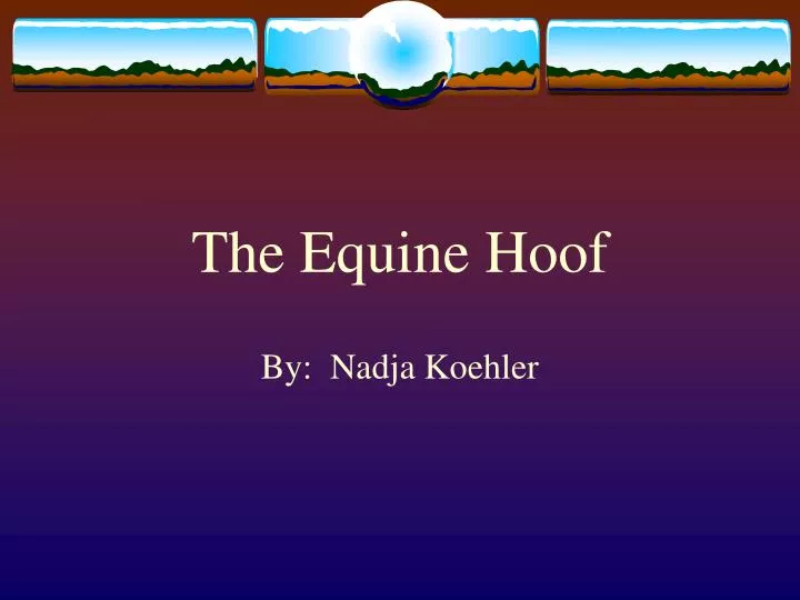 the equine hoof