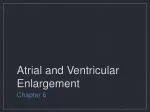 Atrial and Ventricular Enlargement - slide 1