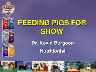 FEEDING PIGS FOR SHOW