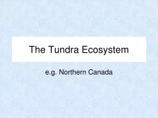 The Tundra Ecosystem