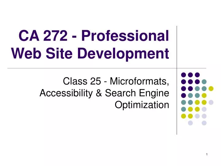 ca 272 professional web site development