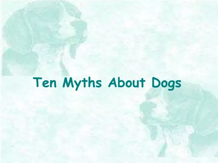 ten myths about dogs