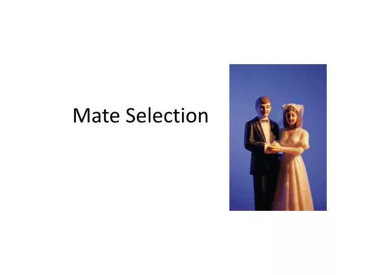 mate selection