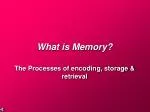 What is Memory? - slide 1