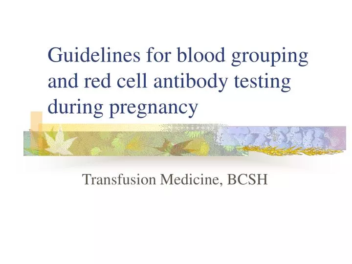 guidelines for blood grouping and red cell antibody testing during pregnancy