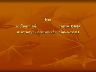 404552019 404552011