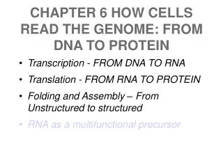 CHAPTER 6 HOW CELLS READ THE GENOME: FROM DNA TO PROTEIN