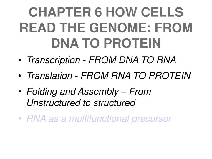 chapter 6 how cells read the genome from dna to protein
