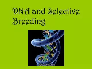 DNA and Selective Breeding