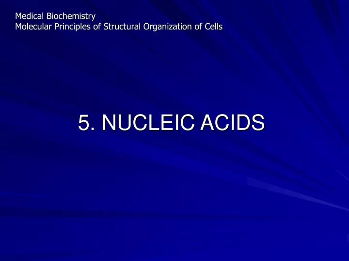 5 nucleic acids