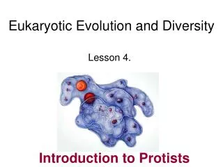 Eukaryotic Evolution and Diversity