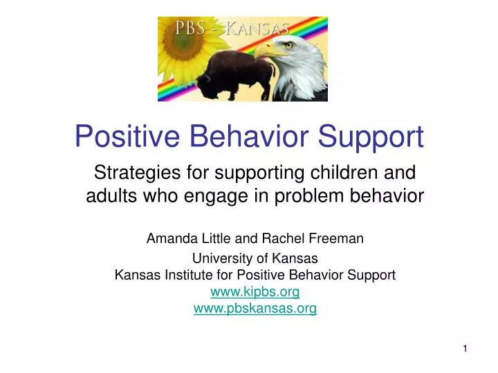 positive behavior support