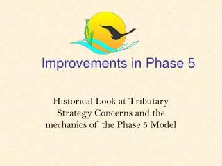 Improvements in Phase 5