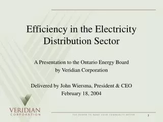 Efficiency in the Electricity Distribution Sector