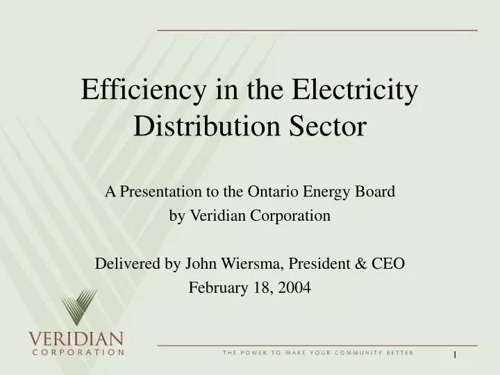 efficiency in the electricity distribution sector