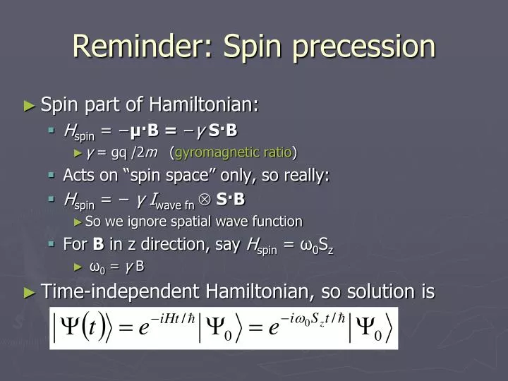 reminder spin precession