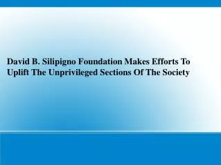 David B. Silipigno Foundation