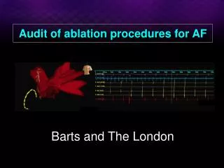 Audit of ablation procedures for AF