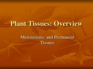Plant Tissues: Overview