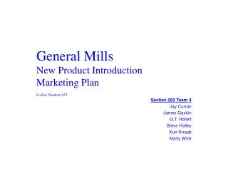 General Mills New Product Introduction Marketing Plan