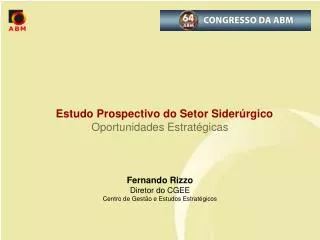 Estudo Prospectivo do Setor Siderúrgico Oportunidades Estratégicas