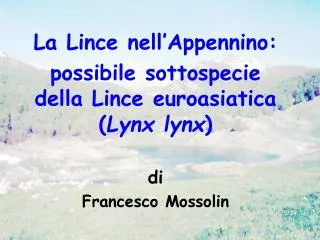 La Lince nell’Appennino: possibile sottospecie della Lince euroasiatica ( Lynx lynx ) di Francesco Mossolin
