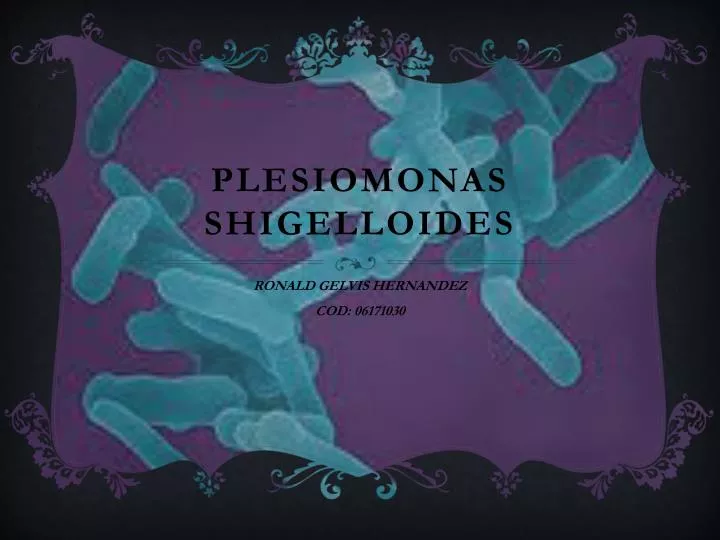 plesiomonas shigelloides