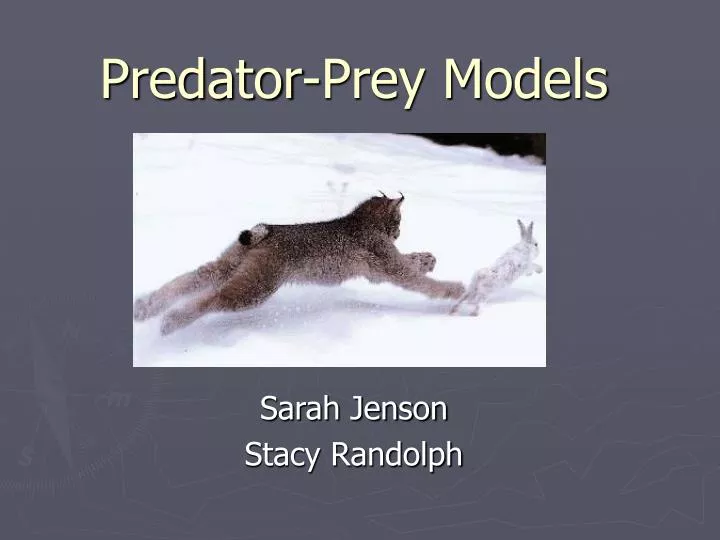 predator prey models