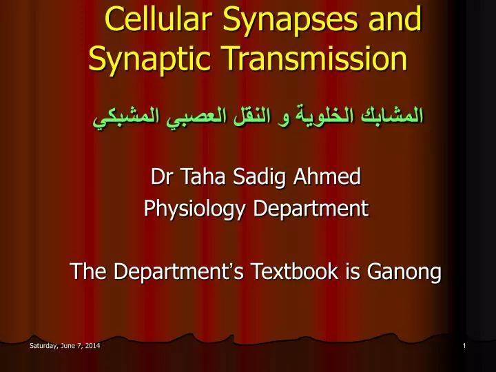 cellular synapses and synaptic transmission