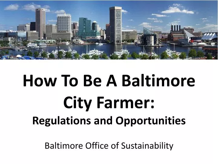 how to be a baltimore city farmer regulations and opportunities