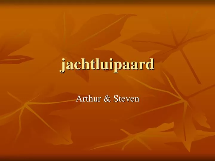 jachtluipaard