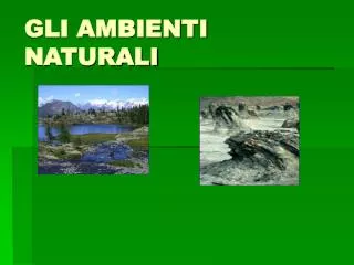 gli ambienti naturali