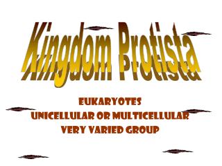 Eukaryotes Unicellular or multicellular Very varied group
