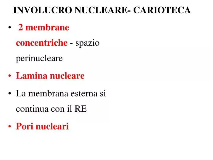 involucro nucleare carioteca
