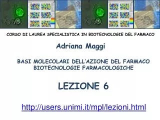 BASI MOLECOLARI DELL’AZIONE DEL FARMACO BIOTECNOLOGIE FARMACOLOGICHE LEZIONE 6