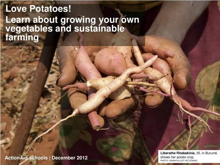 love potatoes learn about growing your own vegetables and sustainable farming
