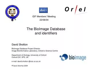 The nature of bioinformatics databases