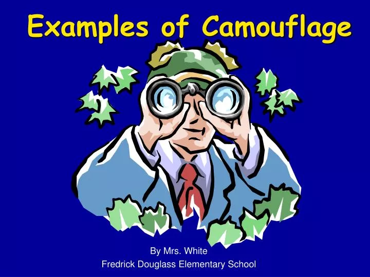 examples of camouflage